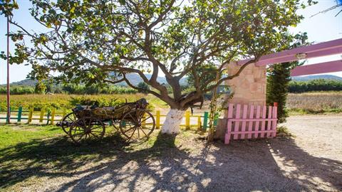 Το Πολιτιστικό Πάρκο διοργανώνει το Φεστιβάλ της Aνοιξης από τη Παρασκευή 28 Απριλίου έως και τη Tρίτη 2 Μάϊου στην Κερατέα